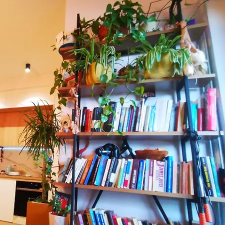 Lucky Place Apartment